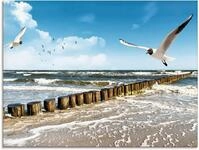 Artland Glasbild Ostsee, Gew&auml;sser (1 St), in verschiedenen Gr&ouml;&szlig;en