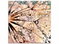 Artland Glasbild Pusteblume - Kisses from rain, Blumen (1 St), in verschiedenen