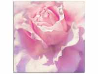 Artland Wandbild Rosa, Blumen (1 St), als Leinwandbild, Poster, Wandaufkleber in