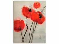 Artland Wandbild Roter Mohn, Blumen (1 St), als Leinwandbild, Poster in...