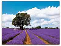 Artland Wandbild Schönes Lavendelfeld im Sommer, Felder (1 St), als Alubild,