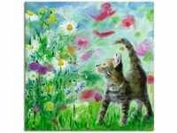 Artland Wandbild Sommerwiese mit Kätzchen, Haustiere (1 St), als Leinwandbild,