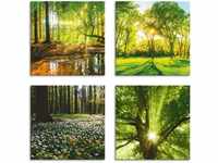 Art-Land Wald Bach Frühling Windrosen Sonne Baum 30x30cm (10182015-0)
