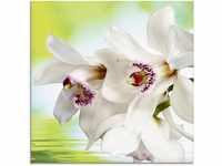 Artland Glasbild Weiße Orchidee, Blumen (1 St), in verschiedenen Größen