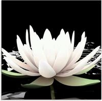 Artland Glasbild Zwei Lotusblumen auf dem Wasser, Blumen (1 St), in...