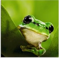 Artland Glasbild Aussp&auml;hender Frosch, Wassertiere (1 St), in verschiedenen...