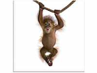 Art-Land Baby Sumatra Orang Utan hängt an Seil 20x20cm (76814511-0)