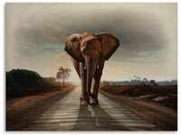 Art-Land Ein Elefant läuft auf der Straße 80x60 cm (20341328-0)