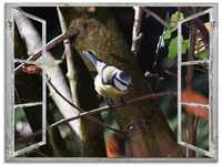 Artland Glasbild Fensterblick - Blaumeise, Vögel (1 St), in verschiedenen...