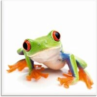 Artland Glasbild Gro&szlig;aufnahme eines Frosches vor wei&szlig;, Wassertiere (1 St), in