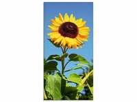 Art-Land Große Sonnenblume 30x60cm (39676369-0)