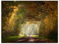 Artland Glasbild Licht am Ende des Tunnels..., Wald (1 St), in verschiedenen...