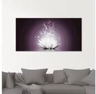 Artland Glasbild Magie der Lotus-Blume, Blumen (1 St)