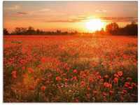 Artland Glasbild Mohnblumenfeld bei Sonnenuntergang, Blumen (1 St), in verschiedenen