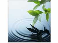 Artland Glasbild Pflanze und Wasser, Zen (1 St), in verschiedenen Größen