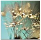 Artland Glasbild Pusteblume gl&auml;nzendes Gold, Blumen (1 St), in verschiedenen