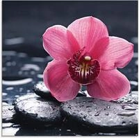 Artland Glasbild Stillleben mit Kiesel und einer Orchidee, Blumen (1 St), in