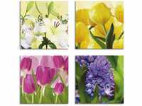 Artland Leinwandbild Tulpen Lilien Hyazinthe, Blumen (4 St), 4er Set,...