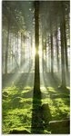 Artland Glasbild Wald im Gegenlicht, Wald (1 St), in verschiedenen Gr&ouml;&szlig;en