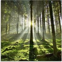 Artland Glasbild Wald im Gegenlicht, Wald (1 St), in verschiedenen Gr&ouml;&szlig;en