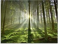 Artland Glasbild Wald im Gegenlicht, Wald (1 St), in verschiedenen Gr&ouml;&szlig;en