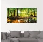 Artland Glasbild Wald mit Bach, Wald (1 St), in verschiedenen Gr&ouml;&szlig;en