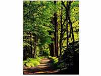Art-Land Weg im Wald 45x60cm (78035365-0)