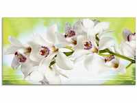 Art-Land Weiße Orchidee 100x50cm (88812967-0)
