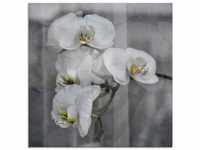 Art-Land Weisse Orchideen white Orchid 30x30cm (89510502-0)
