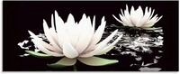 Artland Glasbild Zwei Lotusblumen auf dem Wasser, Blumen (1 St), in...