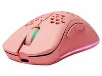 DELTACO DM220 Ultraleichte Gaming Maus RGB Beleuchtung Kabellos Maus (inkl. 5...