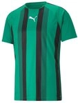 PUMA Fu&szlig;balltrikot PUMA teamLIGA Striped Trikot Kurzarm-Trikots Teamsport