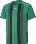 PUMA Trainingsshirt TeamLIGA Striped Jersey Jr