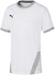 PUMA Funktionsshirt Puma teamGOAL 23