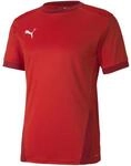 PUMA Funktionsshirt Puma teamGOAL 23