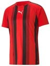 PUMA Fu&szlig;balltrikot Puma Herren Trikot teamLIGA Striped Jersey 704920