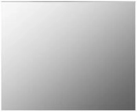 vidaXL Spiegel 100 x 60 cm Rahmenloser Spiegel 100x60 cm Glas