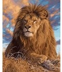 Malen nach Zahlen Diamond Painting L&ouml;we 40x30 cm