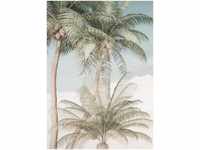 Komar Palm Oasis bunt 200 x 280 cm