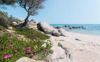 Komar Vliestapete Digitaldruck Vlies - Mediterrane Tr&auml;ume - Gr&ouml;&szlig;e 450 x 280 cm,