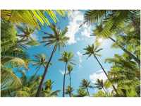 Komar Vliestapete Coconut Heaven, (9 St), 450x280 cm (Breite x Höhe),...