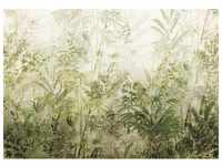 Komar Wilderness grün/weiß 400 x 280 cm