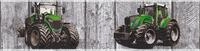 living walls Bord&uuml;re Little Stars, glatt, gestreift, realistisch, Holz, Kindertapete