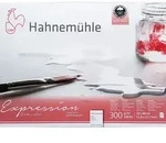 Hahnem&uuml;hle Aquarellpapier Hahnem&uuml;hle Expression matt 30x40 cm, 20 Blatt