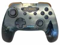 Freaks and Geeks Hogwarts Legacy Switch-Controller