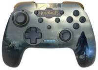 Freaks and Geeks Wireless Switch Controller, Hogwarts Legacy Landscape