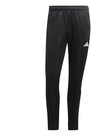 adidas Sportswear Jogginghose TIRO23 CB TRPNT