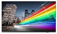 Philips 55BFL2214 139CM 55IN IPS LED 3840X2160 16:9 350CD/QM TFT-Monitor (3840...