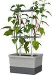 Gusta Garden Pflanzk&uuml;bel CHARLY CHILI (inkl. stabiler Rankhilfe und