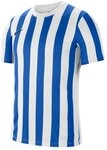 Nike Fu&szlig;balltrikot Nike Performance Teamsport